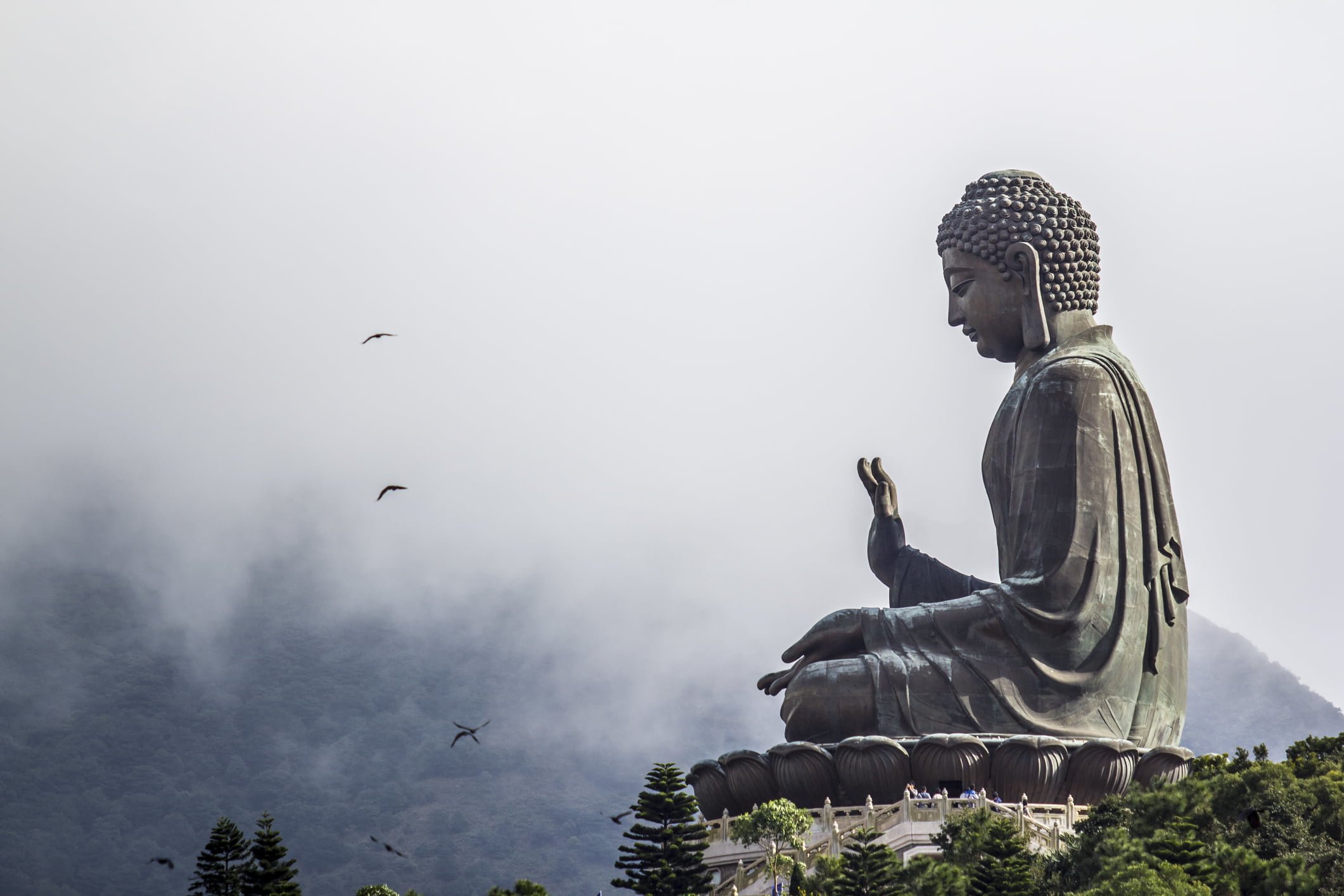 What is Buddhism?