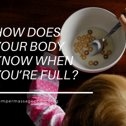 How does your body know when you’re full?