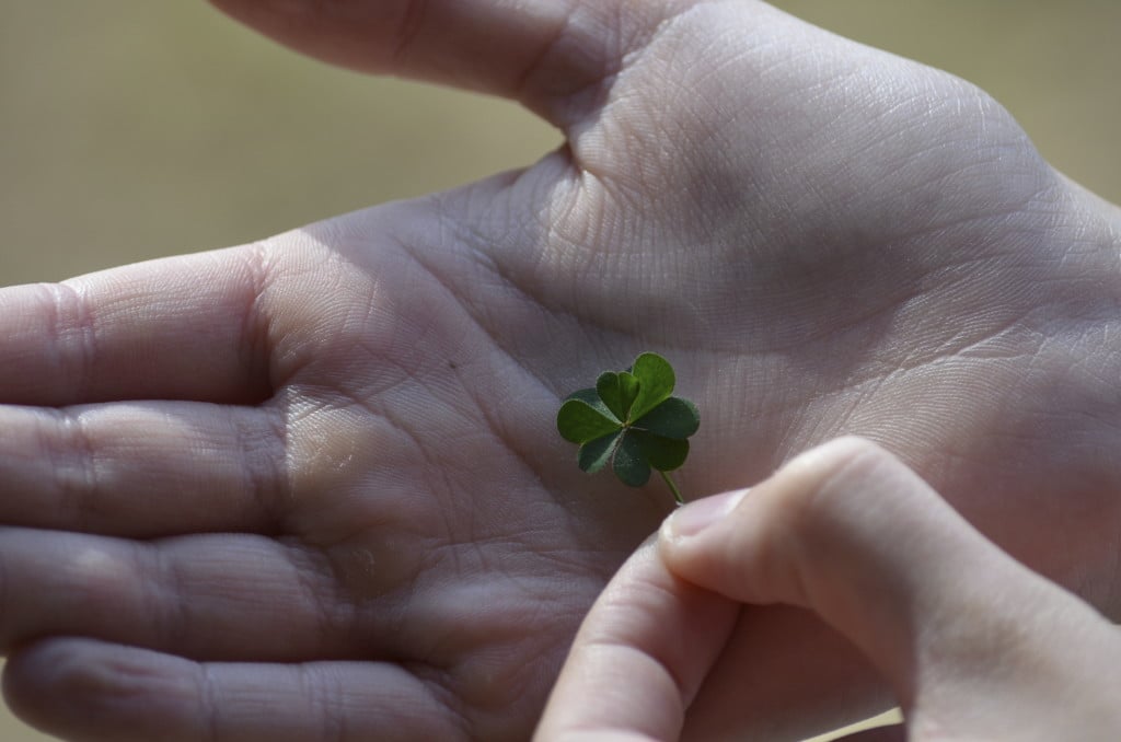 Luck in Life, Four-Leaf Clover, Lucky People