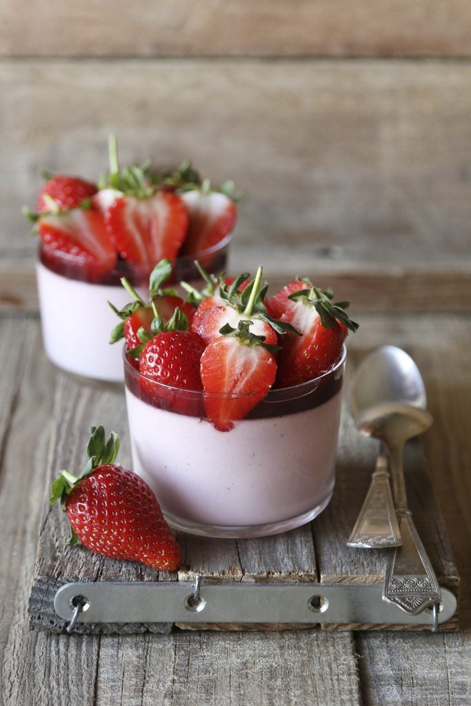 Panna Cotta Recipes