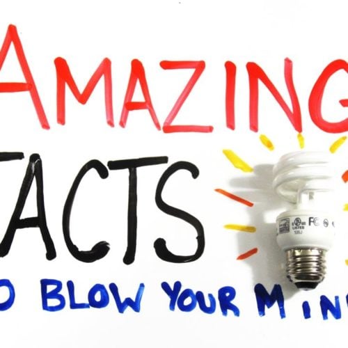 Amazing Facts that Will Blow Your Mind