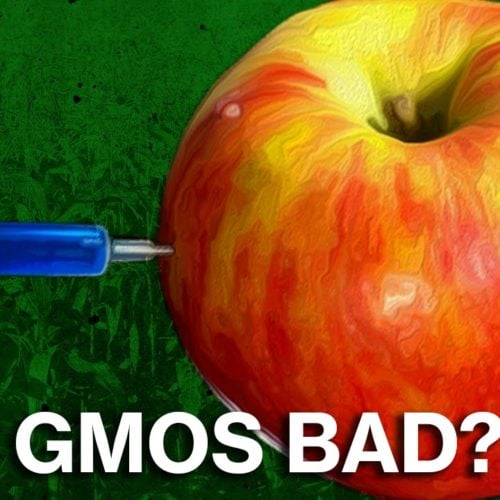 Are GMOs as Bad as You Think?