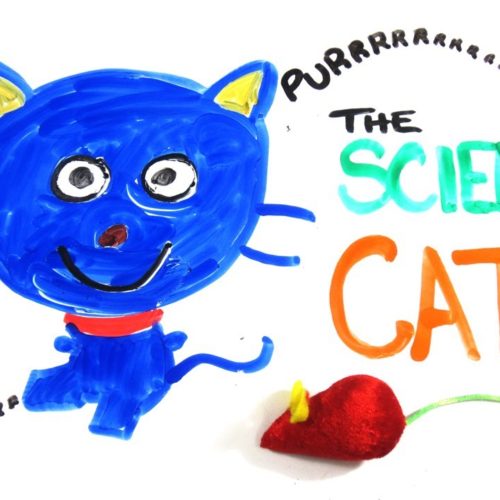 The Science of Cats