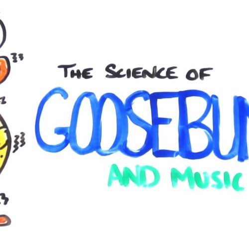 Why do we Get Goosebumps?