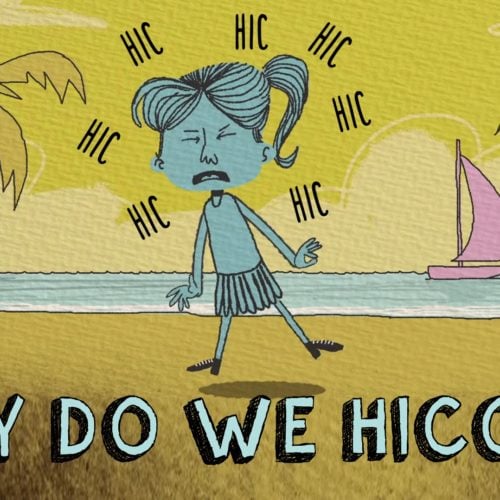 Why Do We Hiccup?